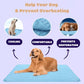 🔥Summer Hot Sale - ONLY £7.99!!⚡50K+ SOLD!🧊Pet Cooling Ice Silk Mat