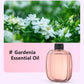 🌹2026 HOT SALE-50% OFF🥳Freshen Any Room Instantly! 🪻No-Cord Timed Aroma Diffuser