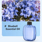 🌹2026 HOT SALE-50% OFF🥳Freshen Any Room Instantly! 🪻No-Cord Timed Aroma Diffuser